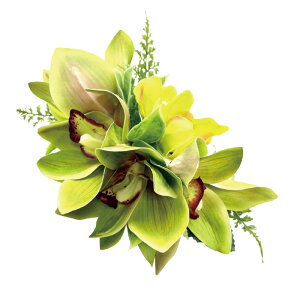 t_Xߑ@@ԏ@wANbv@Cxg@t@AW wANbv @KC-317 NC^uVrW[~jVrW[iO[j