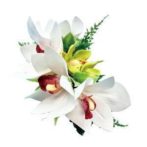 t_Xߑ@@ԏ@wANbv@Cxg@t@AW wANbv @KC-318 NC^uVrW[~jVrW[izCgj