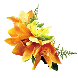 t_Xߑ@@ԏ@wANbv@Cxg@t@AW wANbv @KC-319 NC^uVrW[~jVrW[iIWj