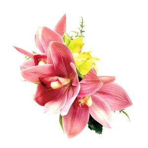 t_Xߑ@@ԏ@wANbv@Cxg@t@AW wANbv @KC-320 NC^uVrW[~jVrW[isNj