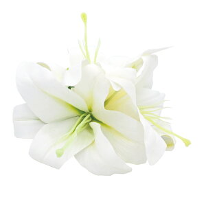 t_Xߑ@@ԏ@wANbv@Cxg@t@AW wANbv @KC-332 JTuJ3փNbvizCgj