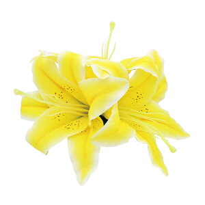 t_Xߑ@@ԏ@wANbv@Cxg@t@AW wANbv @KC-333 JTuJ3փNbviCG[j