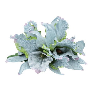 t_Xߑ@@ԏ@wANbv@Cxg@t@AW wANbv @KC-339 JgA5փNbviANAu[j