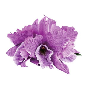 t_Xߑ@@ԏ@wANbv@Cxg@t@AW wANbv @KC-341 JgA5փNbvip[vj