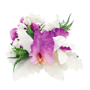 t_Xߑ@@ԏ@wANbv@Cxg@t@AW wANbv @KC-341 JgA5փNbvip[vj