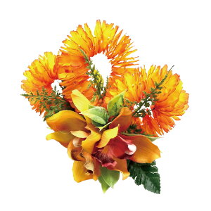 t_Xߑ@@ԏ@wANbv@Cxg@t@AW wANbv @KC-344 C}VrW[Nbv