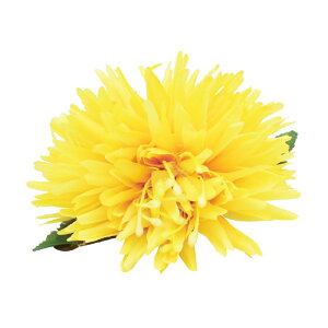 t_Xߑ@@ԏ@wANbv@Cxg@t@AW wANbv @KC-346 C}NbviCG[j