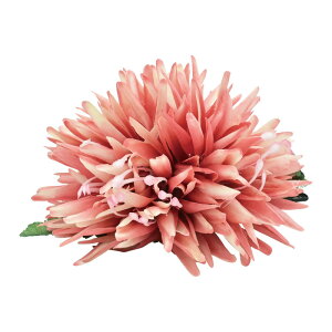 t_Xߑ@@ԏ@wANbv@Cxg@t@AW wANbv @KC-347 C}NbvisNj