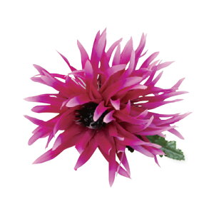 t_Xߑ@@ԏ@wANbv@Cxg@t@AW wANbv @KC-353 V[[}NbvisNj