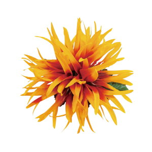 t_Xߑ@@ԏ@wANbv@Cxg@t@AW wANbv @KC-352 V[[}NbviIWj