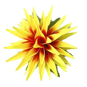 t_Xߑ@@ԏ@tA@wANbv@Cxg@t@AW wANbv @KC-202@wRjANbvij@CG[@