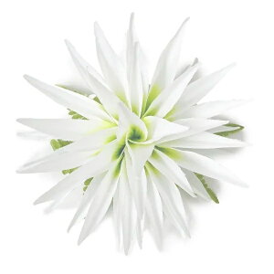 t_Xߑ@@ԏ@tA@wANbv@Cxg@t@AW wANbv @KC-203@wRjANbvij@zCg@