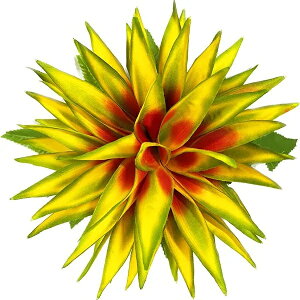 t_Xߑ@@ԏ@wANbv@Cxg@t@YC-006@wRjAkCNbv@CG[@