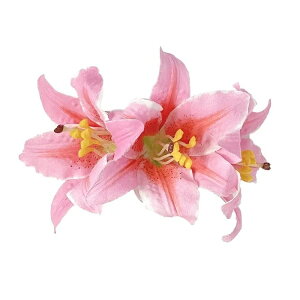 t_Xߑ@@ԏ@wANbv@Cxg@t@YTMZ0302-PK@ [Nbv@sN