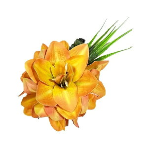 t_Xߑ@@ԏ@tA@wANbv@Cxg@t@AW wANbv @Z-017@ A}X4ց@IW