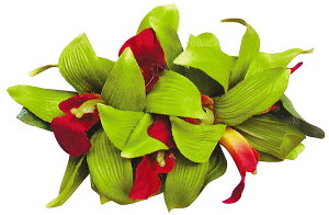 t_Xߑ@@ԏ@I[Lbh@wANbv@Cxg@t@CL-11@o_I[LbhNbv@O[@bh