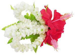 t_Xߑ@@ԏ@nCrXJX@sJP@wANbv@Cxg@t@CL-71R nCrXJXsJP[vNbv@bh@zCg@Ԕ