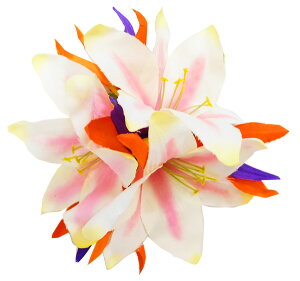 t_Xߑ@@ԏ@[@wANbv@Cxg@t@CL-44@[o[hIup_CXNbv@sN