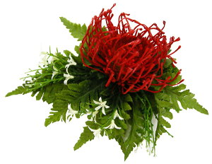 t_Xߑ@@ԏ @tA@wANbv@Cxg@t@dā@I[_[@CC-1076@AWNbv @@@@@@bh@