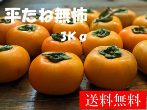 a̎R j` Ȃ `  3Kg@j T_ fU[g a W N r^~C Ⓚ ① Ǐn w^ { Yn 