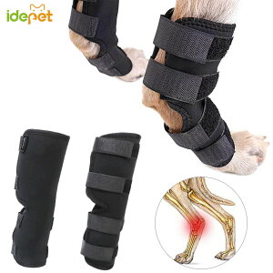 torekagu ֐߃veN^[ pGT|[^[ ybgpPApi