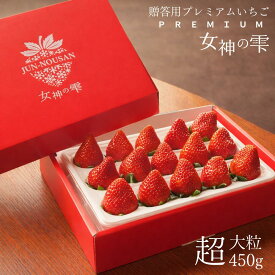 じゅん農産 女神の雫【プラチナ】 贈答用プレミアムいちご 大粒厳選 産地直送 岐阜県美濃市 中山間地の寒暖差栽培 8か月土づくり 飛騨牛堆肥 芳醇な香り 濃厚な旨み のし対応 ギフト 450g前後 15粒 クール便