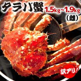 楽天市場 かに 訳あり カニの種 しゅ 高足ガニ の通販