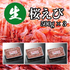 {  500g×3pc 1.5kgiⓀj É x͘pY  ÉY R R`g 炦 TNGr  Gr CV hg R͊ g CN x͘p 