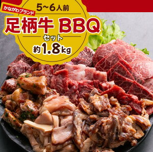 y300~ItzK Ȃuh BBQZbg 1.8kgi5`6lOj 5`6lO JrE󂠂EJr ヂ n~ JrE~bNXz6 K