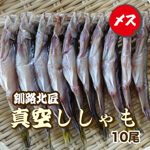 y300~Itz10Eqi^EⓀjHk kC VV ܂ Mtg ̂Ή N[| Ε