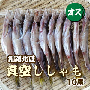 y300~Itz10EIXi^EⓀjHk kC VV ܂ Mtg ̂Ή N[| Ε