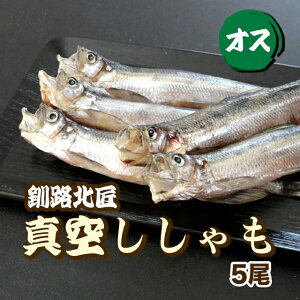 y300~Itz5EIXi^EⓀjHk kC VV ܂ Mtg ̂Ή N[| 