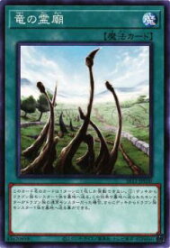 遊戯王 竜の霊廟 SR11-JP030 ノーマル 【中古】