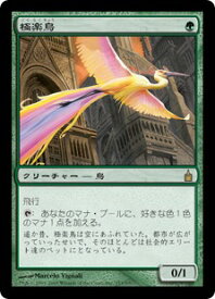 マジックザギャザリング MTG 緑 極楽鳥 RAV-153 レア 【中古】