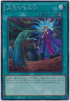 楽天市場】遊戯王 墓穴の指名者の通販