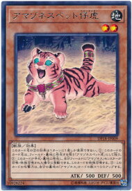 遊戯王 アマゾネスペット仔虎 DP18-JP009 レア 【中古】