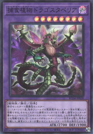 遊戯王 捕食植物ドラゴスタペリア RC04-JP028 スーパー 【中古】