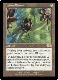 マジックザギャザリング MTG 茶 水蓮の花 USG-300 レア 【中古】