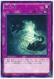 遊戯王 量子猫 EP15-JP077 レア 【中古】