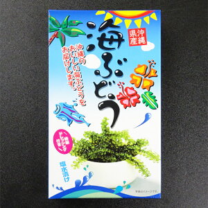 ꌧY@CԂǂ[Ђ]i40gjhbVOt퉷ւɂĔiN[①EⓀւɓł܂j