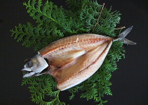 a̎RY@nΊJi1j @N[Ⓚ