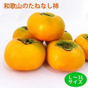 a̎R̂˂Ȃ`ij`jyzꌧ͑900~@kCւ͂͂ł܂