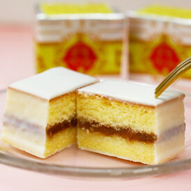 送料無料　ギフト鈴屋　デラックスケーキ　10個入　和歌山　お取り寄せグルメ※北海道・沖縄県は送料+1200円