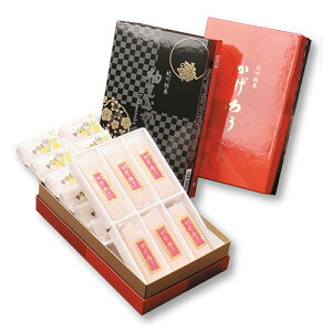 IBف@H@낤 6EMqȂ 12 @w킹Zbg