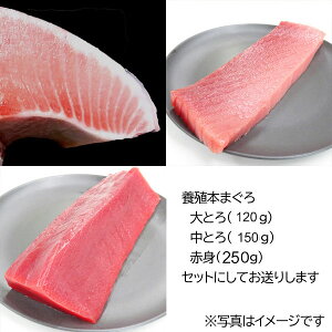 Mtg@@{B{܂3Zbgg(120g)Eg(150g)EԐg(250gjN[①ցkCEXEHcEEEn͂͂ł܂B