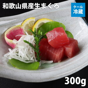 @Mtga̎RYVR܂Ԑg@300g@ ubNhgpݖt@N[①ցkCEXEHcE茧EꌧEnւ̂͂s