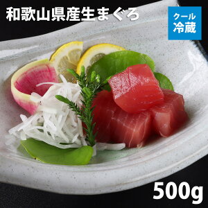 @Mtga̎RYVR܂Ԑg@500g@ubNhgpݖt@N[①ցkCEXEHcE茧EꌧEnւ̂͂s