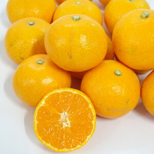 Mtg@@݂񉮁@ȊB݂񁦖kCւ͂͂ł܂񁦉ꌧւ̂͂͑900~