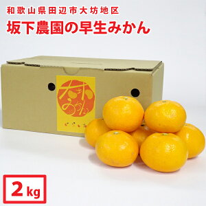 Mtg@@y≺_zV݂[B݂]i2kgja̎RcӎsVn݂̂łBkCւ͂͂ł܂񁦉ꌧ͑+900~