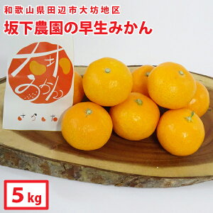 Mtg@@y≺_zV݂[B݂]i5kgja̎RcӎsVn݂̂łBkCEꌧ͑ΏۊO